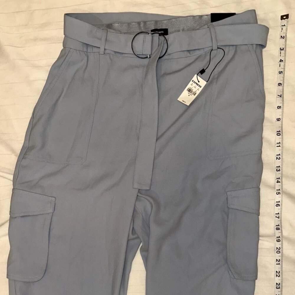 Express Light Blue Casual Pants NEW | Size 14